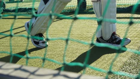 cricket player walking on the pitch during a practice session