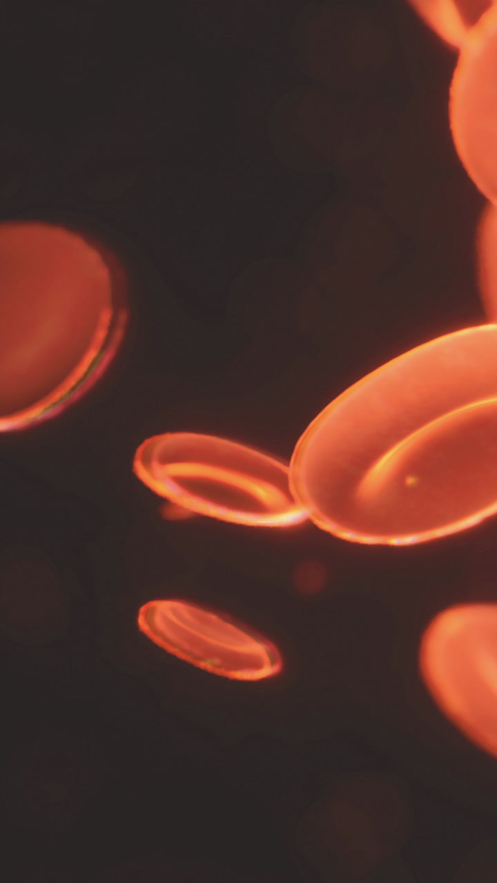 Study of red blood cells in detail showing structure and movement patterns