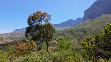 A drive-by shot revealing a winding bridge in rural South Africa