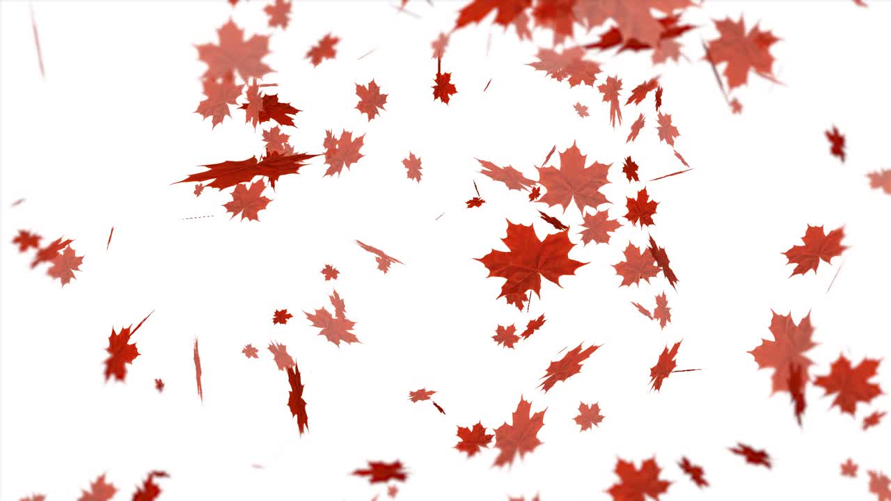 떨어지는 흰색에 소용돌이 붉은 잎