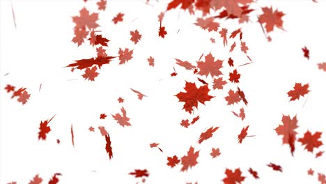 red leaves falling and swirling on white