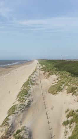 dunes at the beach, sand, green, dutch coast, north sea. vertical aerial video, summer time. sunny.
