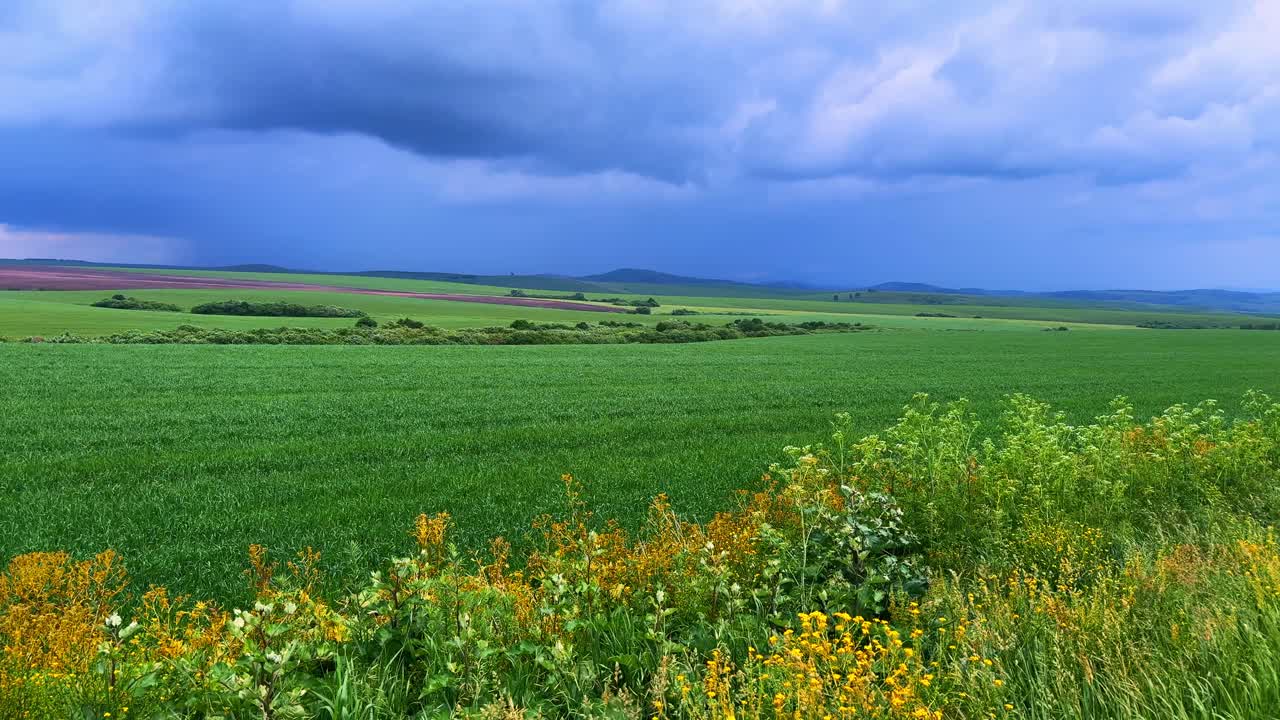 Vast Expanses of Verdant Green Fields Underscored by Darkening Clouds, Capturing the Beauty of Nature's Contrast in a Rural Landscape