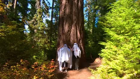 two people dancing in a forest dressed as ghosts