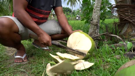 man cutting coconut with machete in indonesia