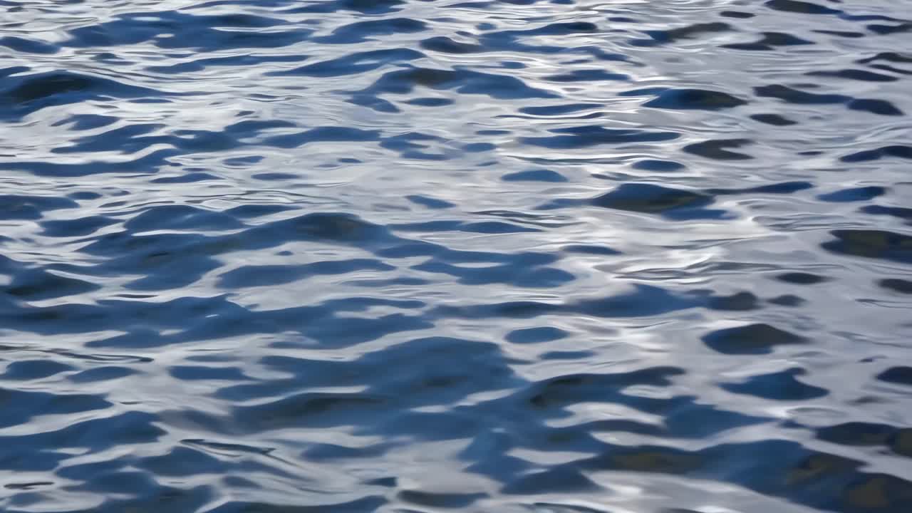 A serene video capturing rippling water from a low-angle perspective, highlighting the reflective