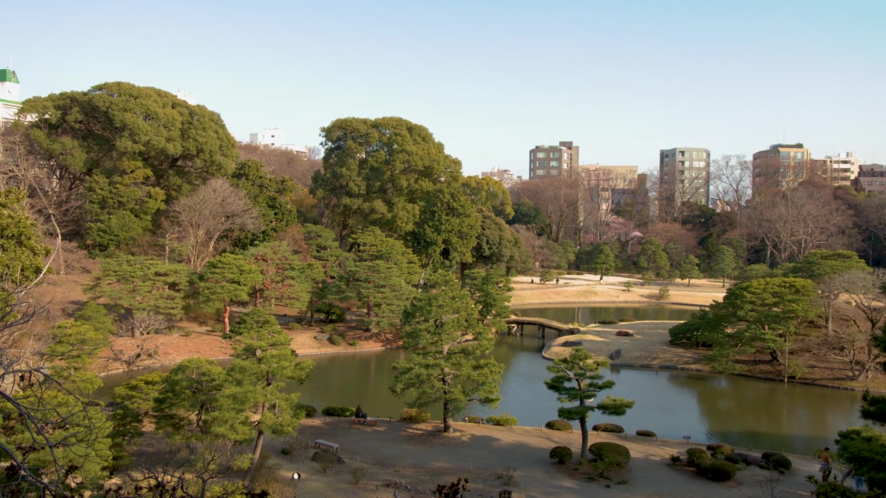 Tomada ampla do lago do Jardim Nacional Shinjuku Gyoen com arranha-céus e árvores em Tóquio, Japão.