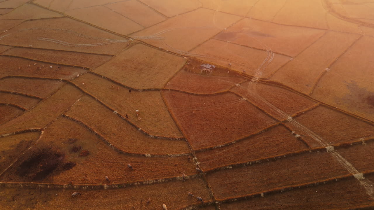 Aerial View of Terraced Rice Paddies