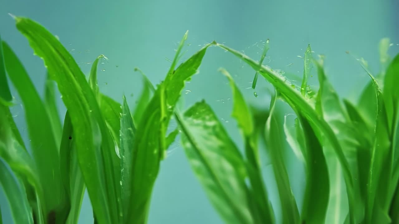 실험실 에서 식물 을 조사 하기 위해 현미경 을 사용 하는 과학자