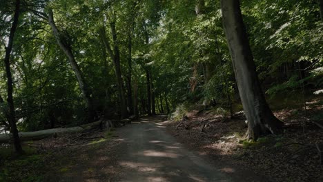 Camino-De-Guijarros-Oscuro-Y-Aterrador-Con-Troncos-Tendidos-En-Un-Bosque-Exótico-En-Gylebo,-En-El-Sur-De-Suecia,-Skåne,-Tiro-Ancho-Siguiendo-Hacia-Adelante