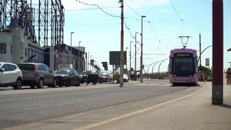 a pink tram moves past the camera in blackpool, england