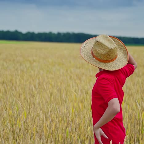 little agronomist on a field. boy in straw hat looks around on wheat growing in the field in summer. teenager among agricultural land.