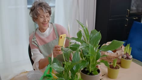 senior woman taking photos of houseplants