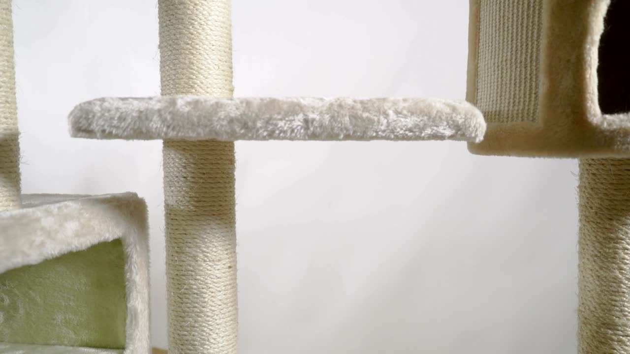 patio de recreo interior para gatos y gatitos.