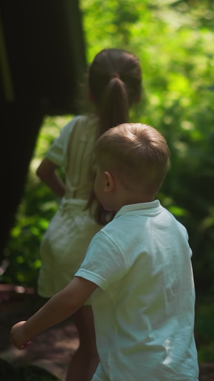 귀여운 소녀와 소년은 그늘진 숲 공원에서 아보르 근처를 둘러보고 느린 동작. 여름 숲에서 건강한 형제 자매. 활동적인 주말.