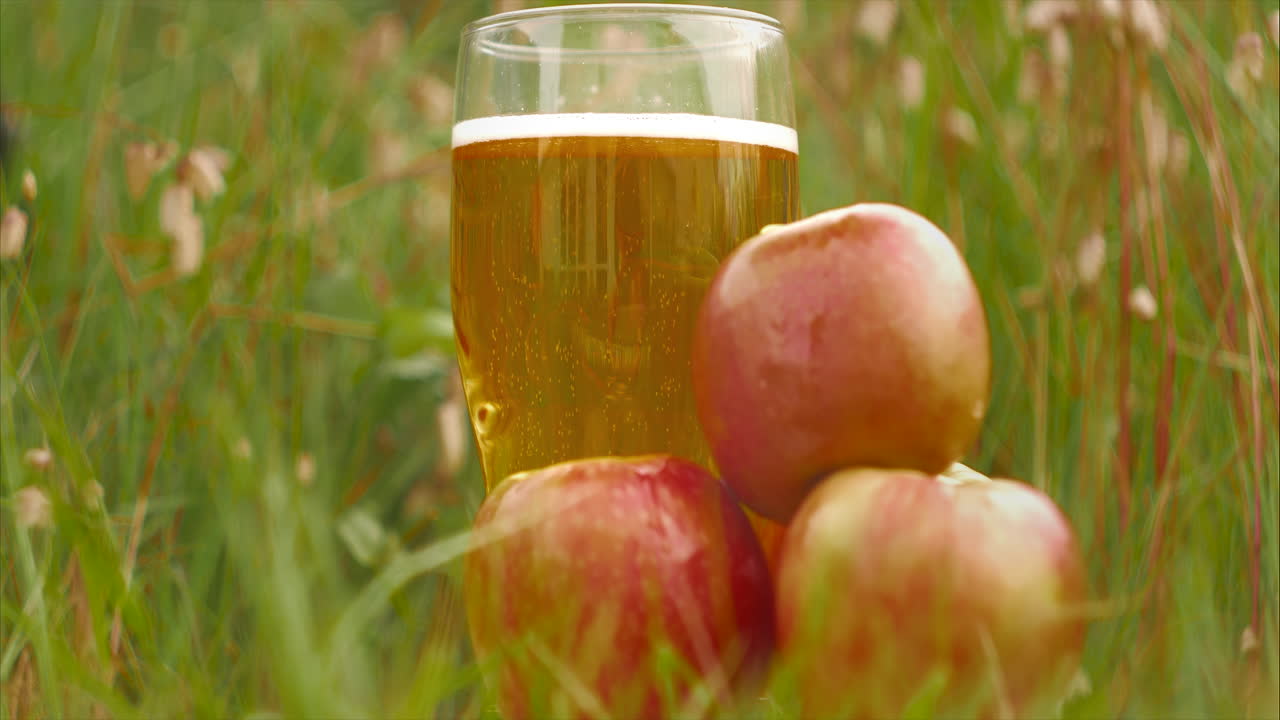 Apples surround full pint glass of sparkling cider in field, low close-up