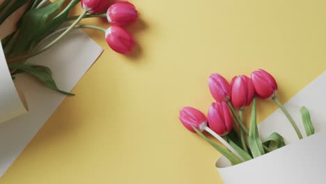 video of bunches of red tulips in white paper and copy space on yellow background