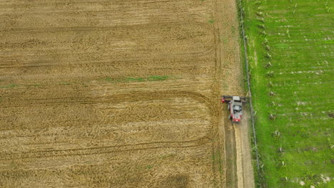 Vista-Aérea-De-Una-Cosechadora-Roja-Trabajando-A-Lo-Largo-Del-Borde-De-Un-Campo-De-Trigo-Cosechado-Junto-A-Una-Zona-Verde.