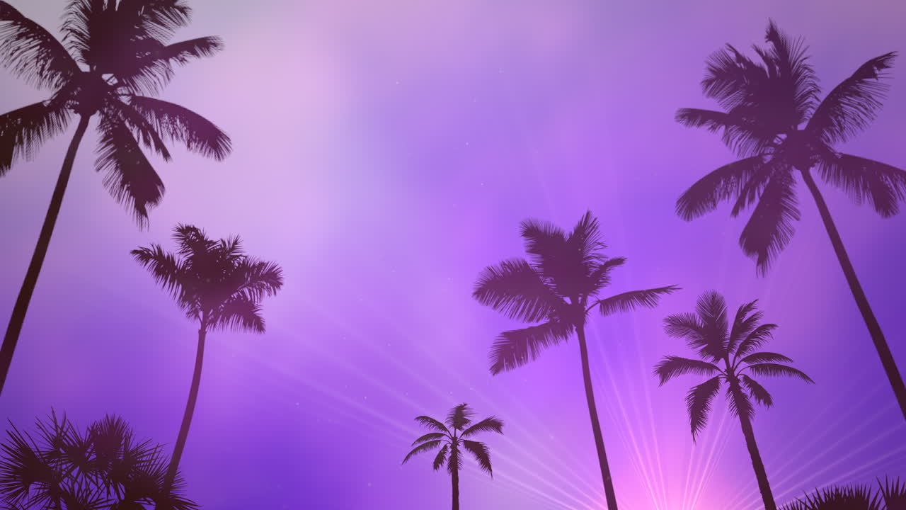 Panoramic view of tropical landscape with palm trees and sunset 5