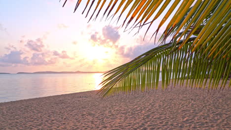 Panning-left-from-coconut-Palm-branch-to-calm-and-tranquil-islands-beach-on-sunset