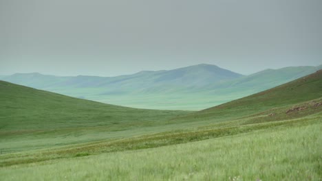 plain in treeless wide valley