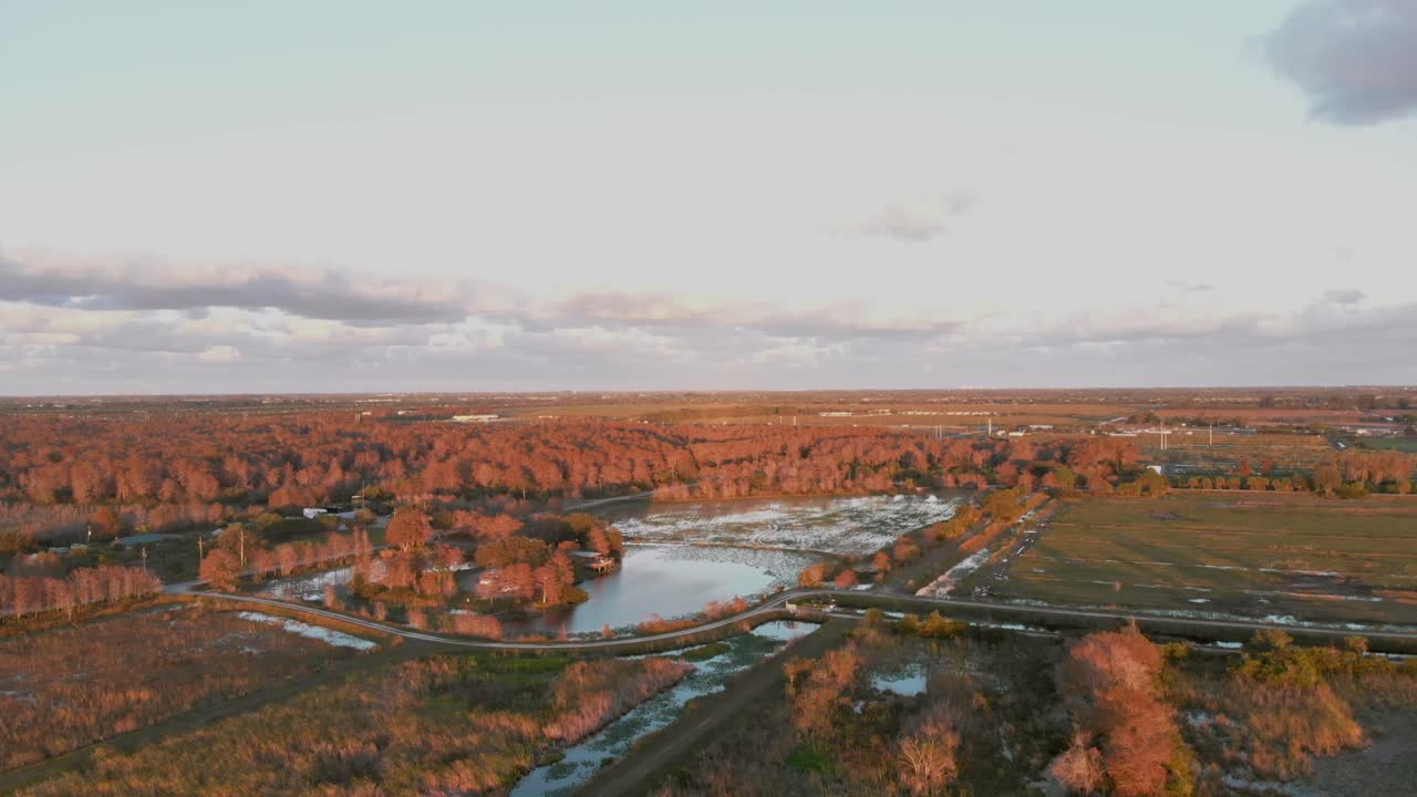 A slow aerial dolly forward over the Everglades, revealing wide wetlands, tree clusters, and reflective water channels at golden hour
