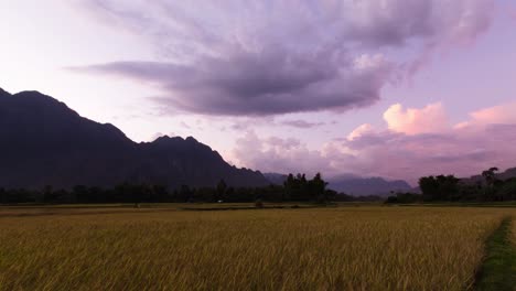 clouds at sunset in valley over rice field