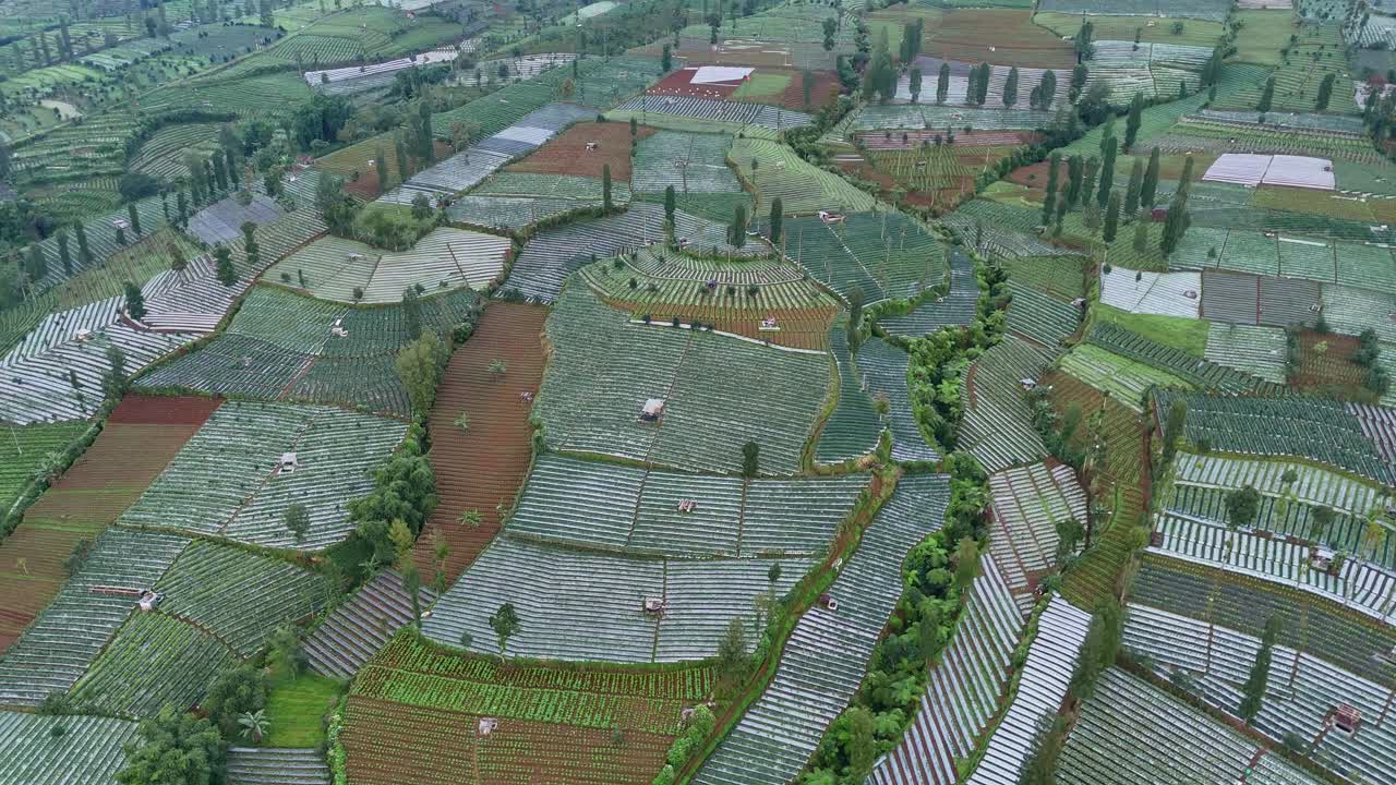 Flying above agricultural field on highland mountain slope. Aerial view of Indonesia rural landscape.
