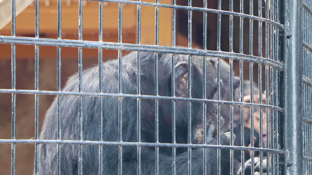 la mejor vista en yokohama