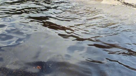 esmaltes de aceite en el agua de mar en movimiento
