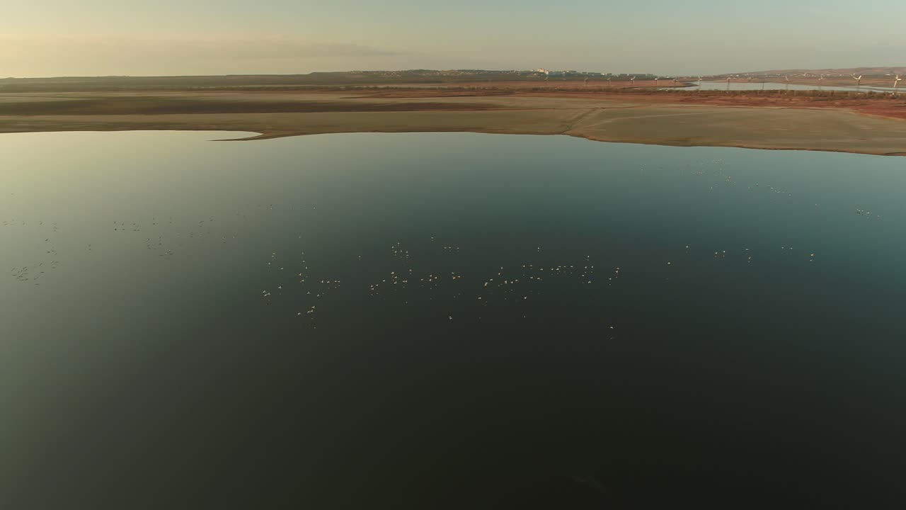 건조 한 호수 에 있는 새 들 의 공중 사진