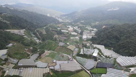 general landscape view of the brinchang district within the cameron highlands area of malaysia