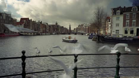 epic establishing shot of amsterdam with canal houses, amstel river, birds, boat on cloudy day, netherlands, holland gimbal move forward