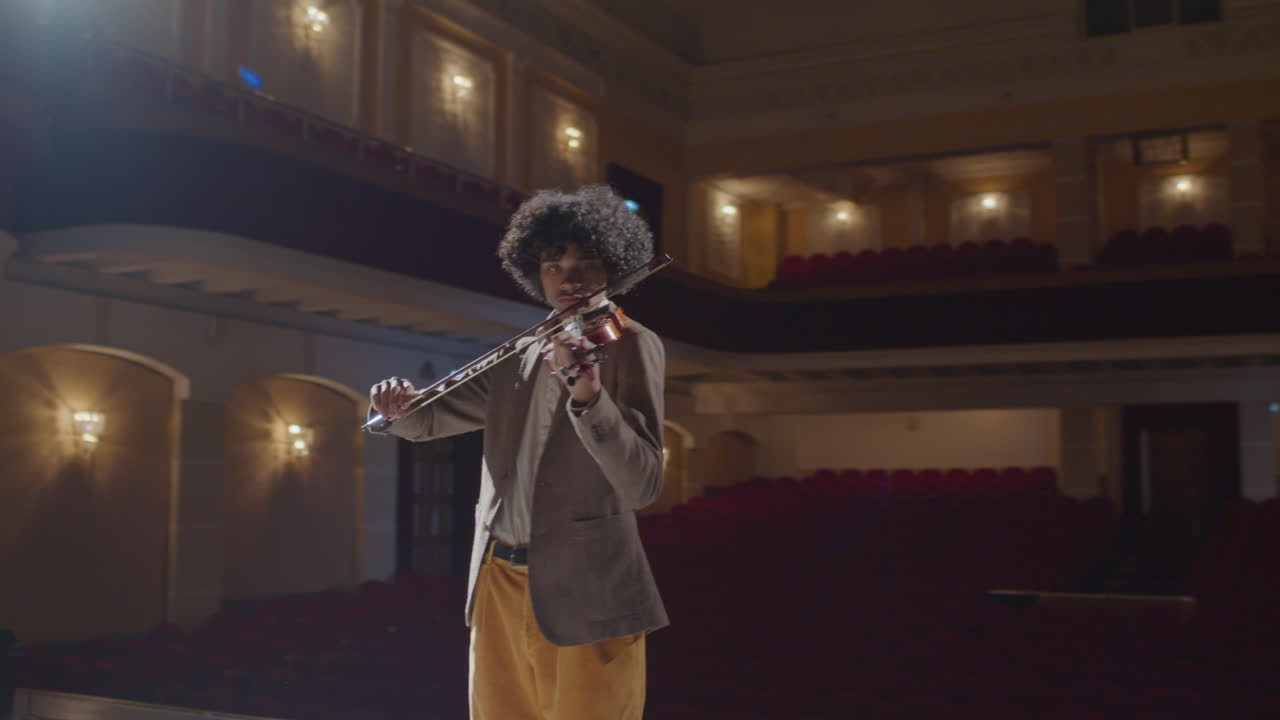 Violinist Performing Classical Music on Stage