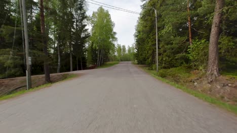 driving on a serene country road flanked by beautiful trees in the finnish countryside