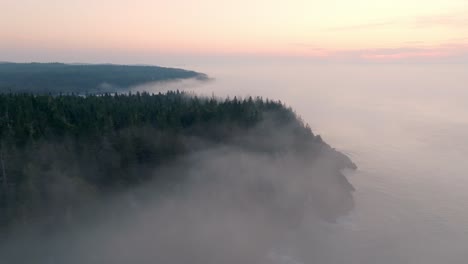 gorgeous drone shot of sunrise glow over foggy maine bold coast forest