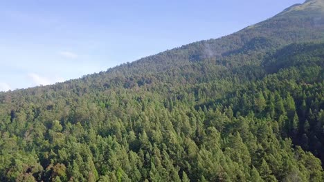 Vorwärts-Drohnenaufnahmen-Dicht-Von-Tropischen-Regenwaldbäumen-Mit-Leicht-Nebligem-Wetter