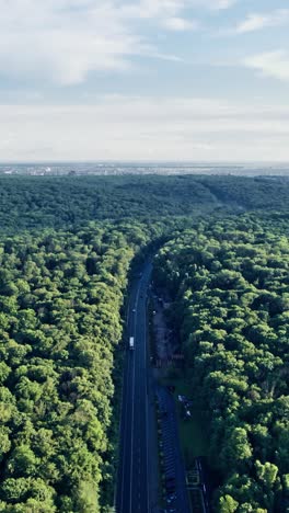 coche montado en la carretera a través del bosque en el campo
