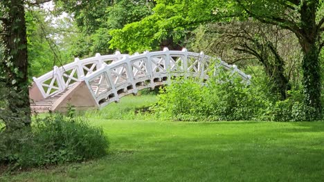cerca de la toma estática de un hermoso puente blanco en el jardín salvaje
