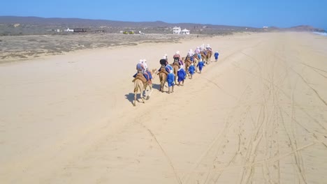 people riding camels in the desert by the beach and ocean waves - silhouettes of camels - drone aerial dynamic shot with mountain view