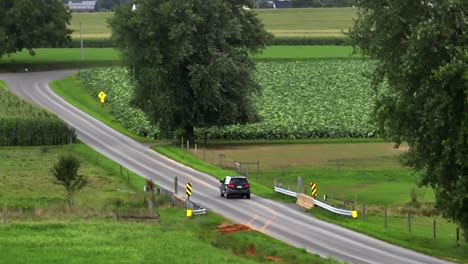 aerial tracking shot of black car on rural road in american countryside at sunny day. agricultural fields, trees and farm in background. zoom shot.