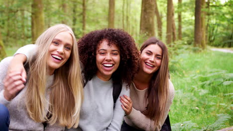 Three-young-adult-women-smile-and-embrace-while-taking-a-break-sitting-in-a-forest-during-a-hike,-handheld