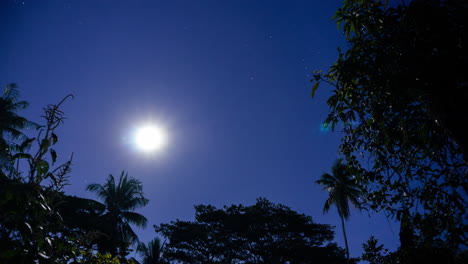 Klarer-Himmel-Nachtzeitraffer-Mit-Mond,-Sternen-Und-Bäumen