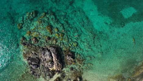 Couple-snorkels-next-to-rocks-and-a-reef-where-they-are-swimming-in-the-USVI