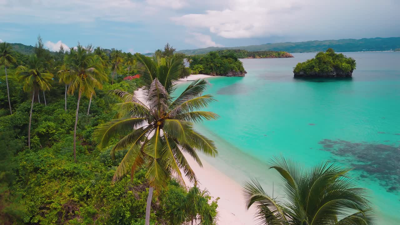 palme su una spiaggia di sabbia bianca nelle isole Banggai, Sulawesi