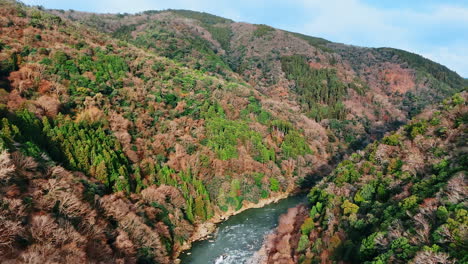 katsura river wiggling among the picturesque mountains. drone footage over the beautiful forests covering the rocks on sunny day. kyoto, japan. aerial view.