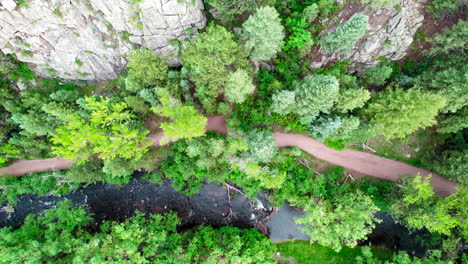 birds eye view of foot path going through beautiful idyllic forest valley landscape scenery with flowing river and lush green trees during warm summer season