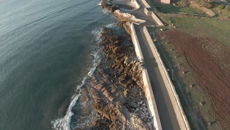 siguiendo la línea de un mar verde