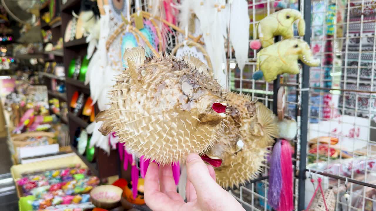 Person examines dried pufferfish ornament among colorful souvenirs in bright, bustling Phuket street market