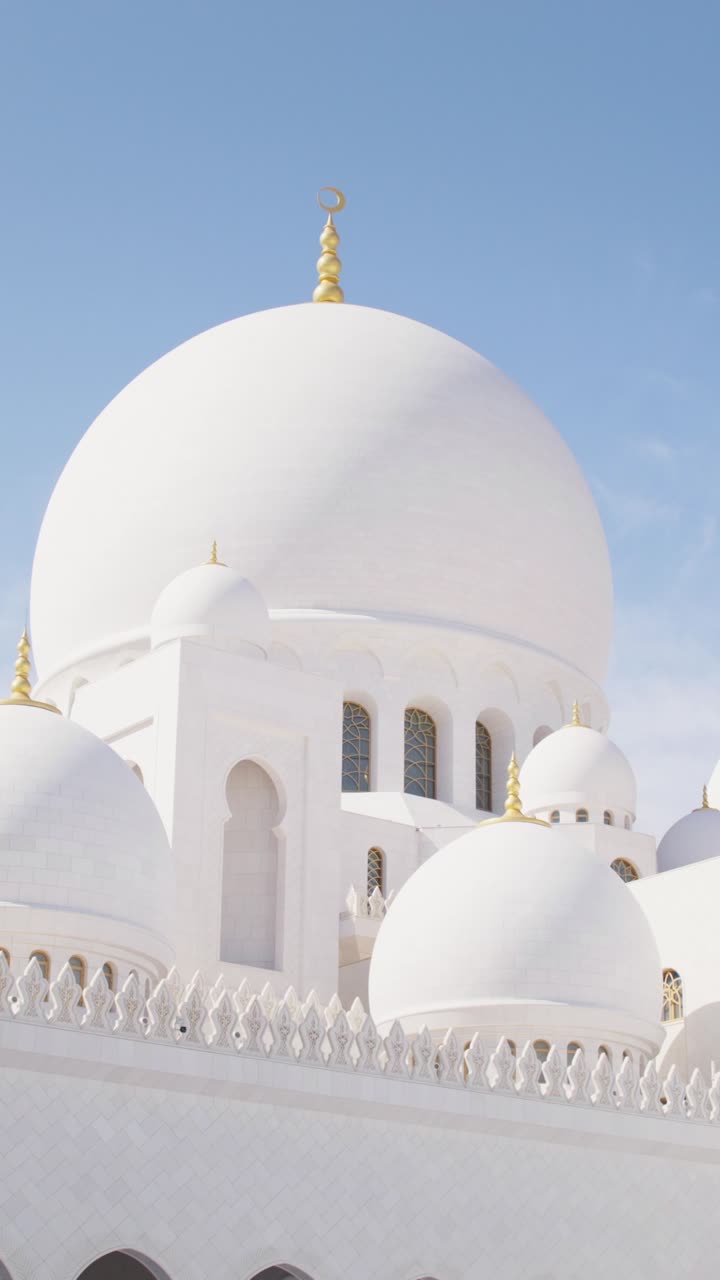 Cupola della Moschea Sheikh Zayed